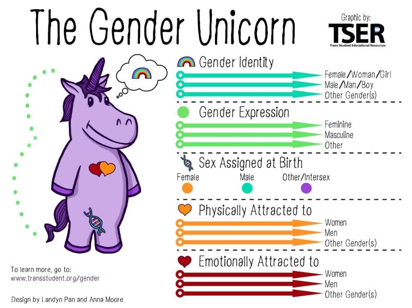 What's the difference between sexual orientation and gender identity?